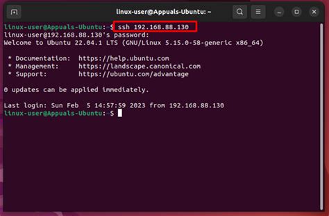 CI SSH Permission denied .